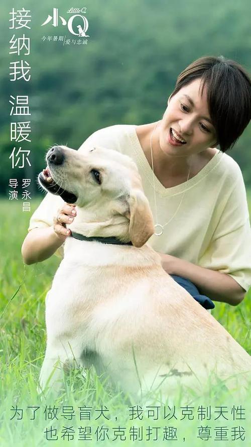 制作仿真购房合同模版/样本